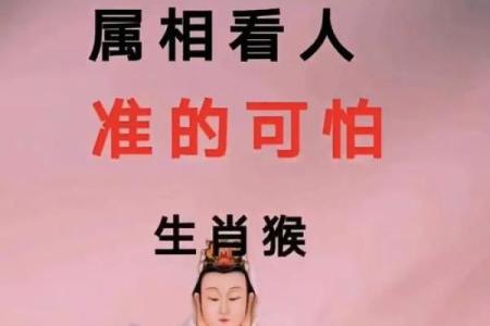 金猴之命：探寻属于猴年出生者的命格特点与人生智慧