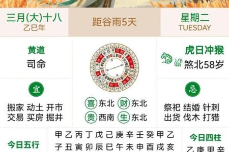 甲木命适合什么数字？探寻生命中的幸运之数！