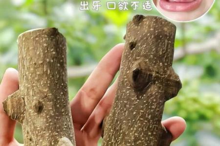 如何选择合适的佩戴物品以提升花椒木命的运势？