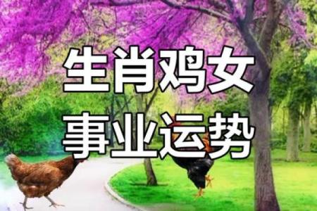 属鸡水命的人颜色选择：如何搭配搭配出最旺的运势？