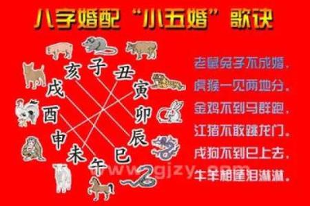 探索1976年出生人的命运与性格特征：龙年的奇妙之旅