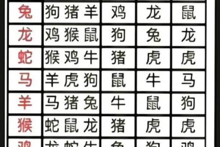 属龙的星座与命理解读：揭示您的性格与命运之路