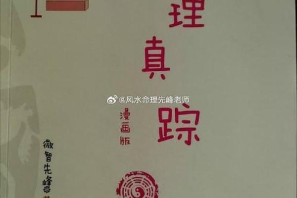 探秘大林木命：与数字的奇妙缘分与生活智慧