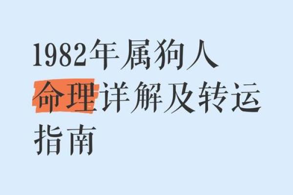 了解三十六属狗的命理特点，如何提升运势与生活质量