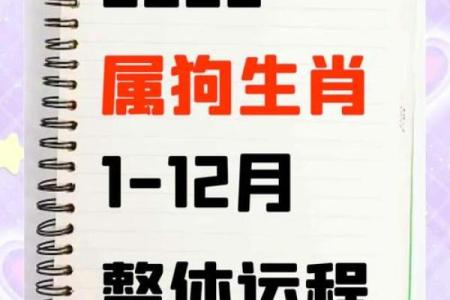 了解三十六属狗的命理特点，如何提升运势与生活质量