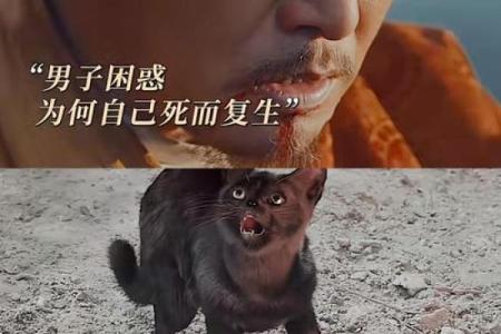 一命还一命：人性的挣扎与救赎之旅