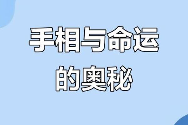 男人手宽与命运的关系:揭秘你的性格与人生趋势 男人手宽与命运的关系:揭秘你的性格与人生趋势