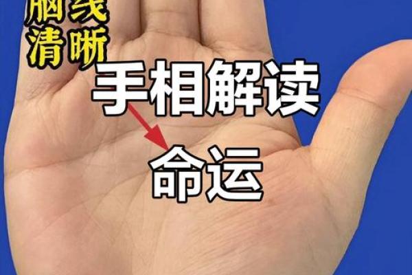 男人手宽与命运的关系:揭秘你的性格与人生趋势 男人手宽与命运的关系:揭秘你的性格与人生趋势