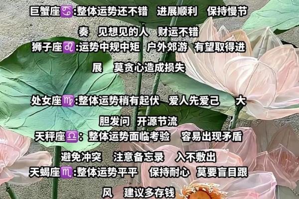 命理学中的幸运星座:探索生命中的好运之星 命理学中的幸运星座:探索生命中的好运之星