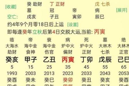 88年龙女的命理解析:细数八字背后的深意与命运之路