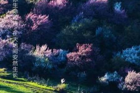 养命之道：探索生命的最佳保养方法