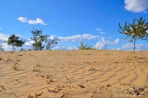 探索沙中土命的魅力:适合的颜色搭配与风格选择 探索沙中土命的魅力:适合的颜色搭配与风格选择