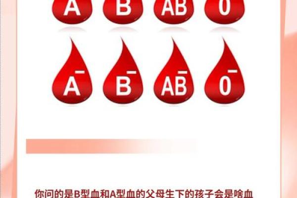 解密血型与命运:你的血型暗示了什么命运轨迹? 解密血型与命运:你的血型暗示了什么命运轨迹?