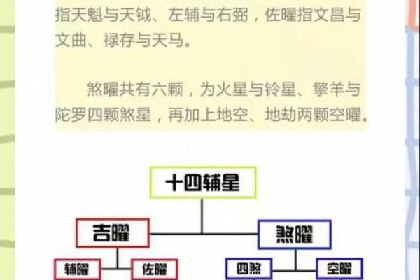 探索2月26日出生者的命运与性格奥秘 探索2月26日出生者的命运与性格奥秘