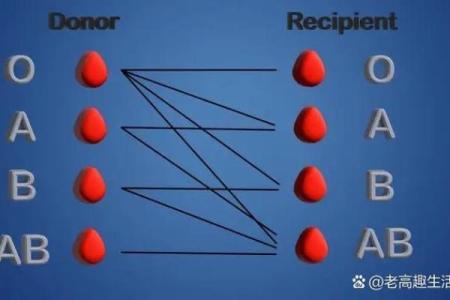 解密血型与命运：你的血型暗示了什么命运轨迹？