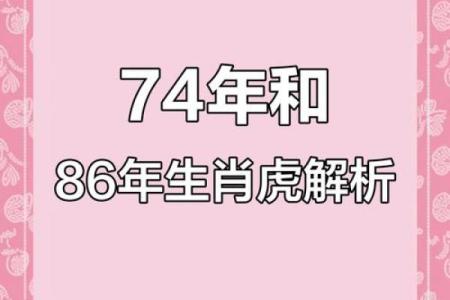 虎年出生的人命运解析:属虎的秘密与人生特点