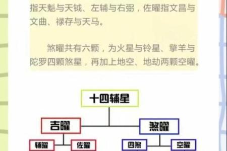 探索2月26日出生者的命运与性格奥秘