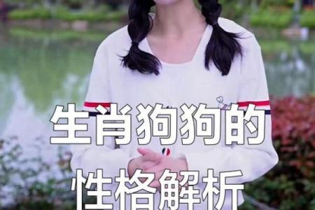 属狗人的性格特点与命运解析:忠诚与责任的象征