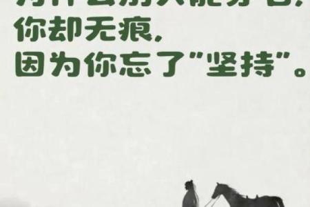 没有公子的人是什么命？探索人生的不同轨迹与价值