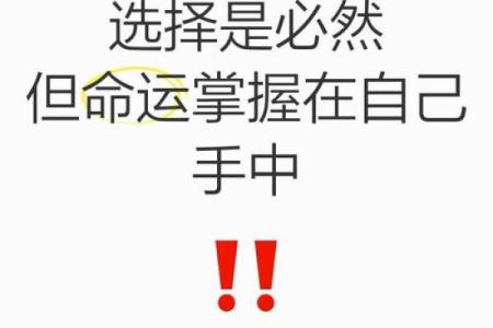 命运之舞：如何通过努力掌控人生的方向