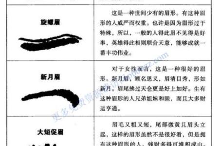 眉粗短男人的命运解读：人生走向与命理的微妙关系