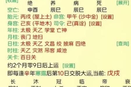 探秘丙子年出生者的命理特征与人生运势
