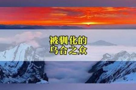 探寻人生的命运:来自歌曲的灵感与启示
