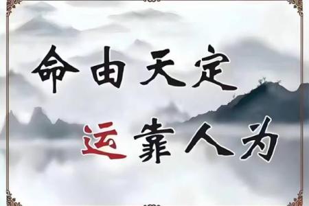 探究命理八字与命局关系的奥秘,助您更好理解人生轨迹