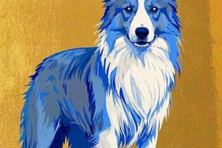 82年属狗的命与命理配色解析，找寻最适合你的色彩