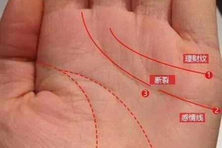 女人双手横纹的命运解析:人生的秘密与希望