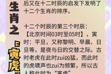 未时出生的虎宝宝属什么命？详解八字与命理!