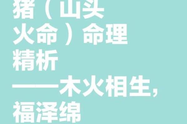 属猪的人命好与坏的秘诀:看这些特征和命理分析 属猪的人命好与坏的秘诀:看这些特征和命理分析
