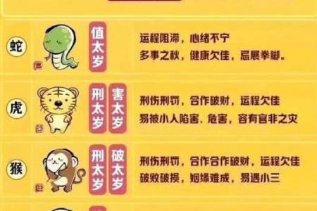 属猪的人命好与坏的秘诀:看这些特征和命理分析