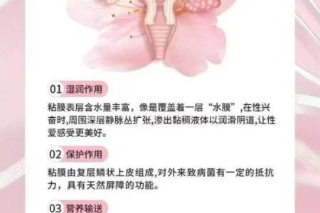 揭开优雅女性的秘密:贵妇命的特质与养成之道
