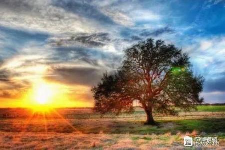 探寻1972年出生的鼠年命运：缺什么才能更好地生活？