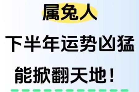 2011年出生的孩子：看属兔的运势与命理解析