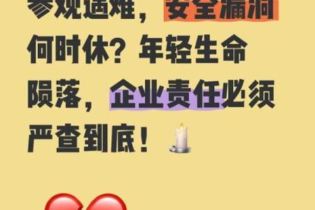 人命不如动物命?我们该如何看待生命的价值?