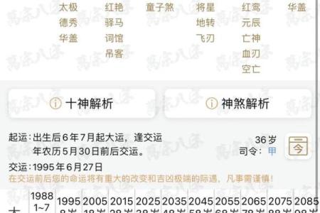1979年腊月的命理解析:你属于哪种命格?