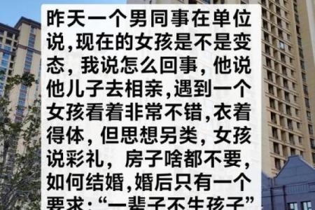 从不结婚的人生观：命运与选择的纠葛