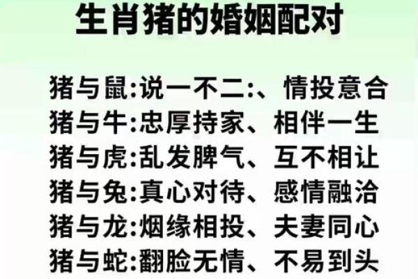 1971年属猪之命:探秘温暖与幸福的生活轨迹 1971年属猪之命:探秘温暖与幸福的生活轨迹