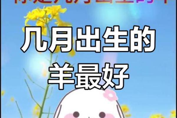 探寻2003年正月属羊人的命运与性格特征 探寻2003年正月属羊人的命运与性格特征