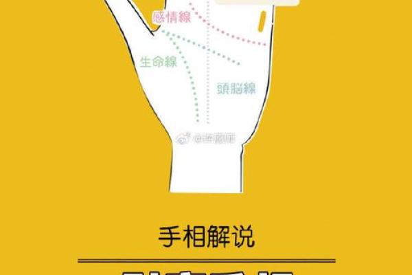 命格中的财富象征:解密价值上千万的命理特征 命格中的财富象征:解密价值上千万的命理特征