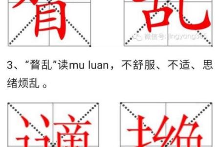 扬州话中的“命要紧”是什么意思？探寻方言之美与生活智慧