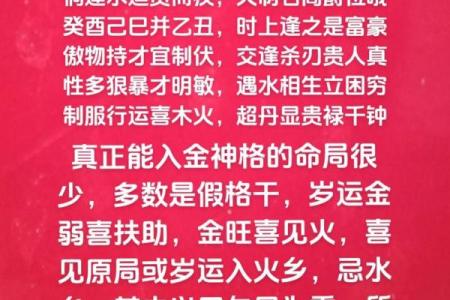 弃命从杀格女命的最佳发展方向与人生选择