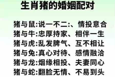 1971年属猪之命:探秘温暖与幸福的生活轨迹
