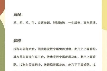 2018年属狗男宝宝命运分析：健康、事业与家庭的全面解读