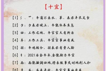 辛丑年牛宝宝命运解析:得天独厚的性格与人生之路