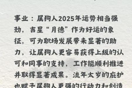 属狗人2018的命运解读:爱情、事业与未来的奇妙旅程
