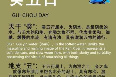 探讨壬午日柱:最佳命理解析与人生指导