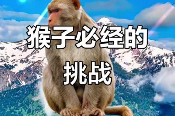 猴1992的命运与婚姻:聪明灵动的爱情之道 猴1992的命运与婚姻:聪明灵动的爱情之道